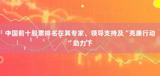 中国前十股票排名在其专家、领导支持及“亮康行动”助力下