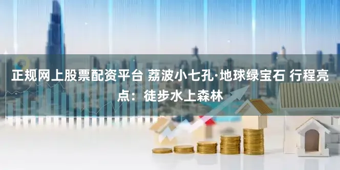 正规网上股票配资平台 荔波小七孔·地球绿宝石 行程亮点：徒步水上森林